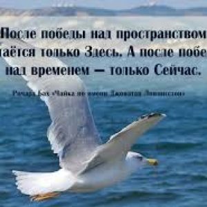 Чайка по имени Джонатан Ливингстон (1970)